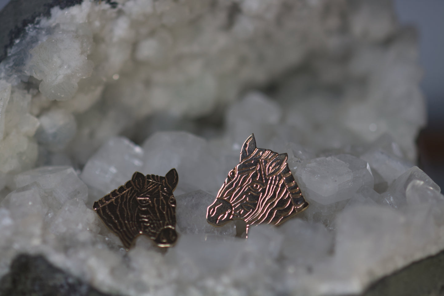 Zebra Earrings