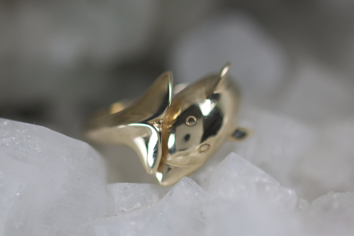 Dolphin Ring