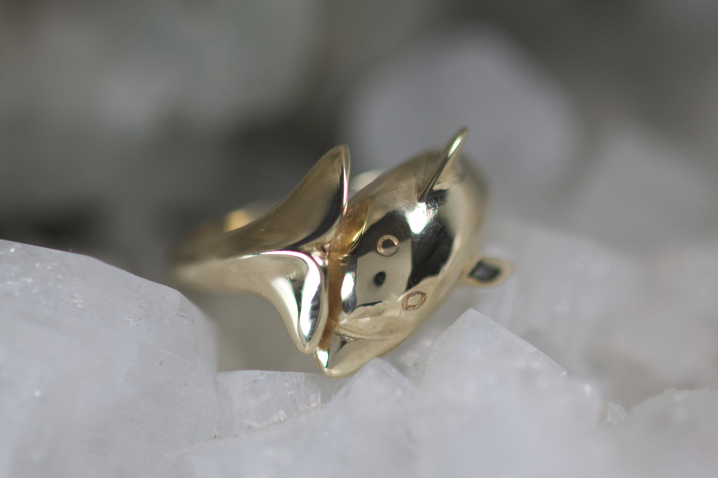 Dolphin Ring