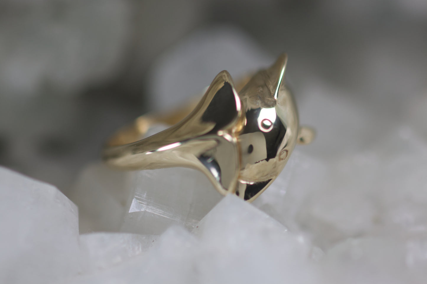 Dolphin Ring