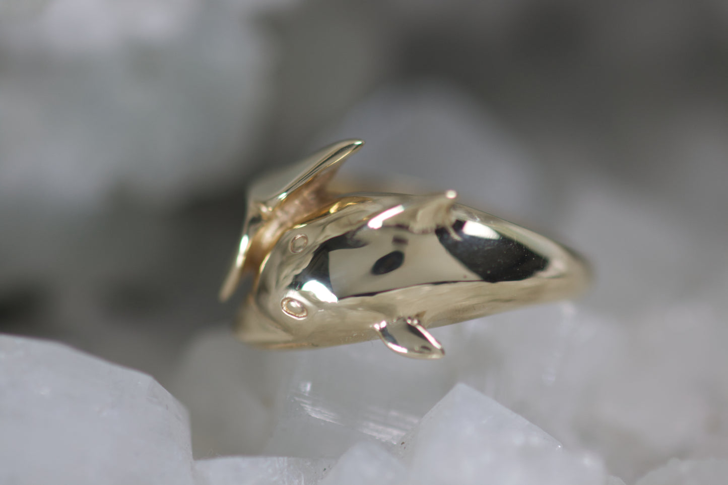 Dolphin Ring