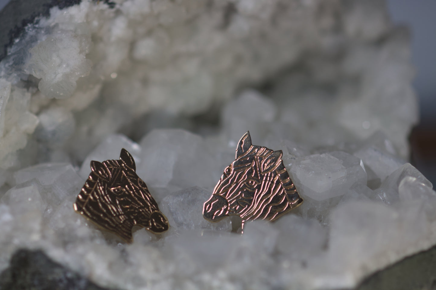 Zebra Earrings